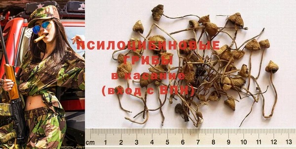 MDMA Белокуриха