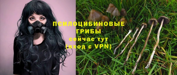 2c-b Богородицк