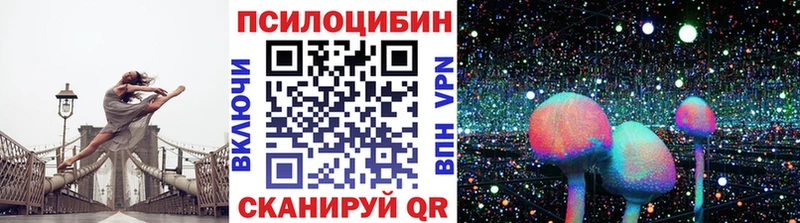 мега ссылки  где купить наркоту  Белая Холуница  Псилоцибиновые грибы Psilocybe 